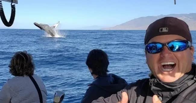 Whale Watching
